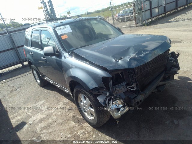 Ford Escape (2010)
