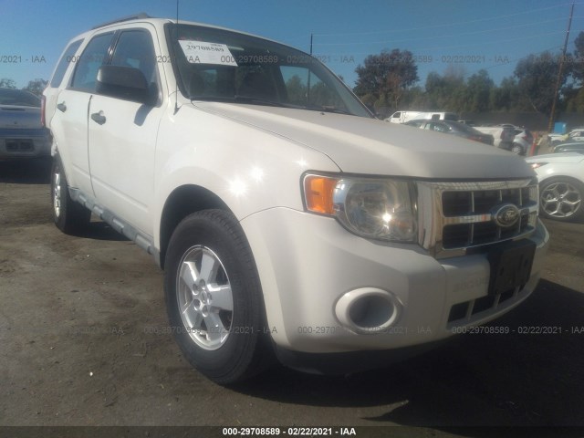 Ford Escape (2010)