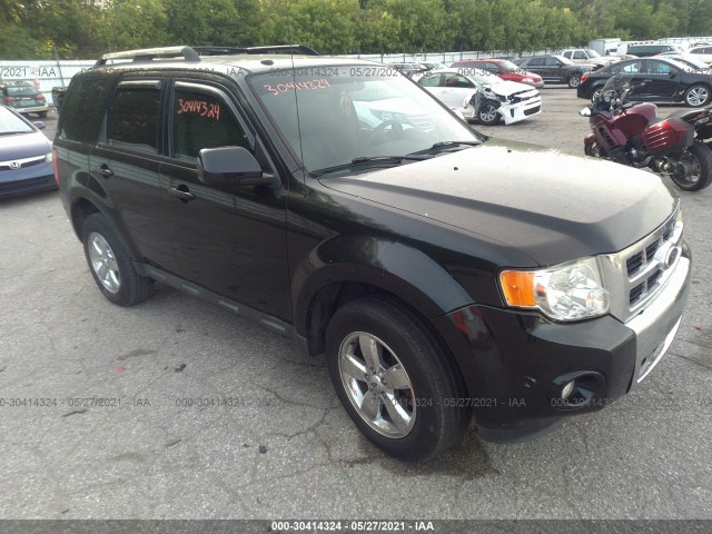 Ford Escape (2011)