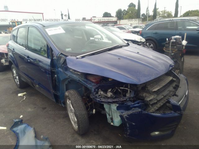 Ford Escape (2014)