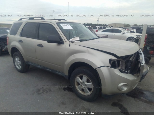 Ford Escape (2011)