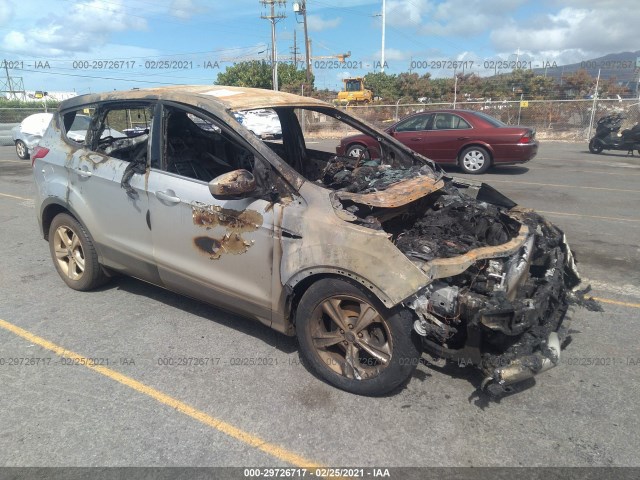 Ford Escape (2014)