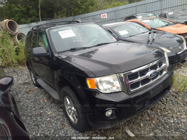 Ford Escape (2010)