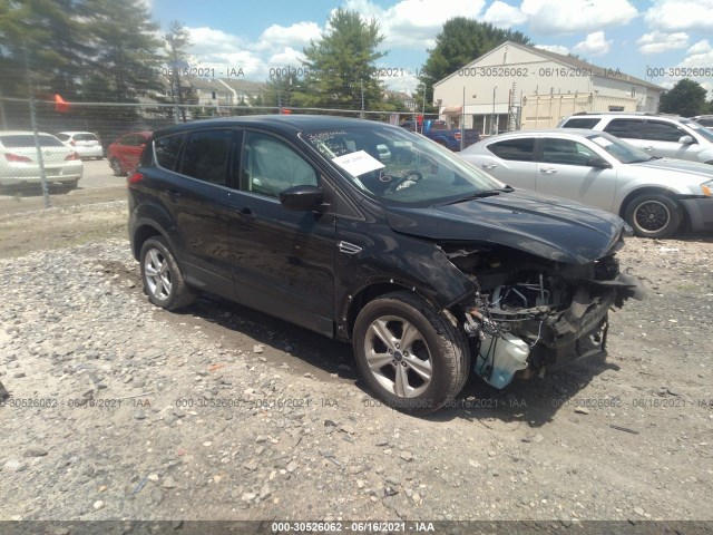 Ford Escape (2014)