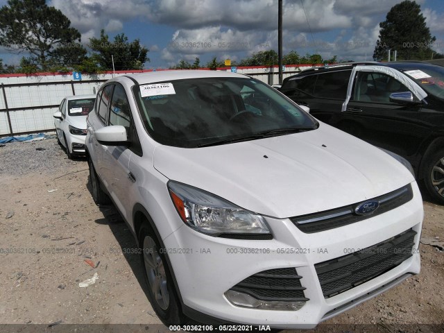 Ford Escape (2014)