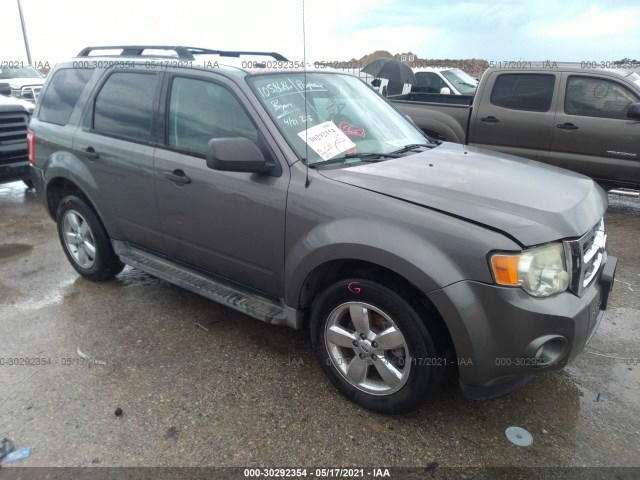 Ford Escape (2010)