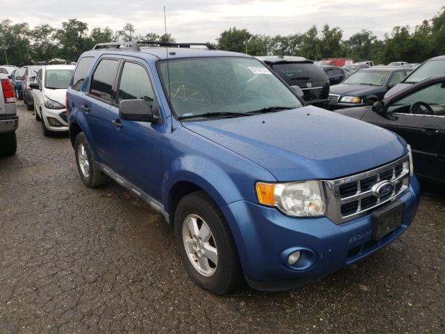 Ford Escape xlt (2010)