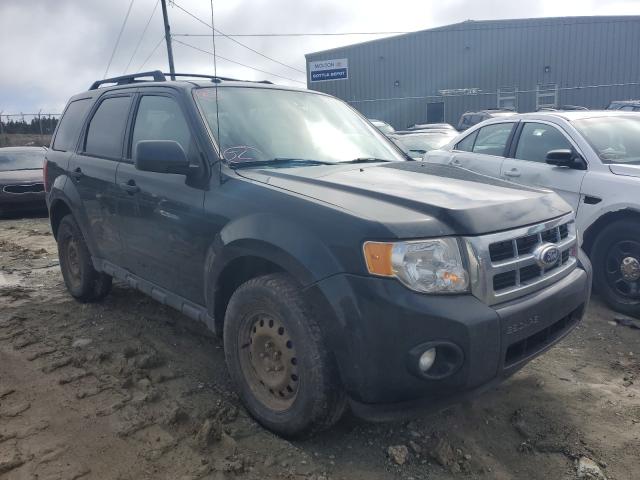 Ford Escape xlt (2010)