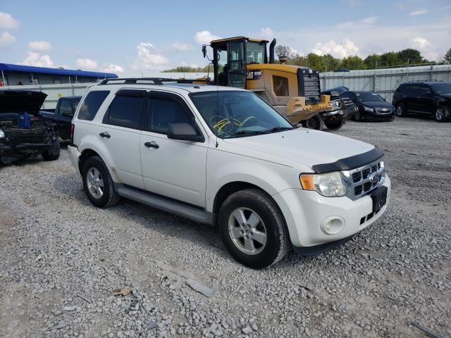 Ford Escape xlt (2010)