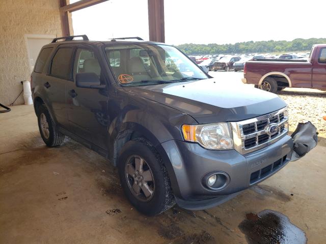Ford Escape xlt (2011)