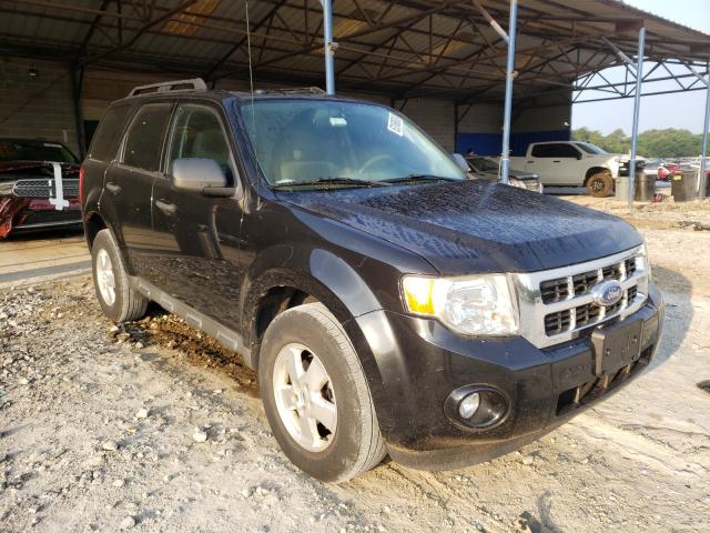 Ford Escape xlt (2011)