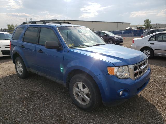 Ford Escape xlt (2011)