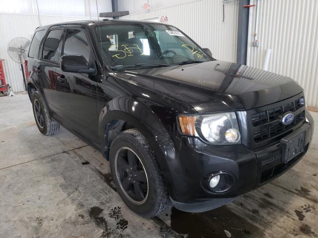 Ford Escape xlt (2011)