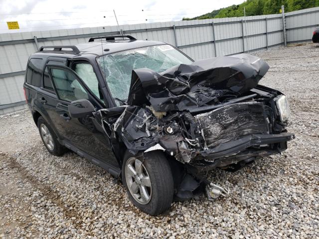 Ford Escape xlt (2011)