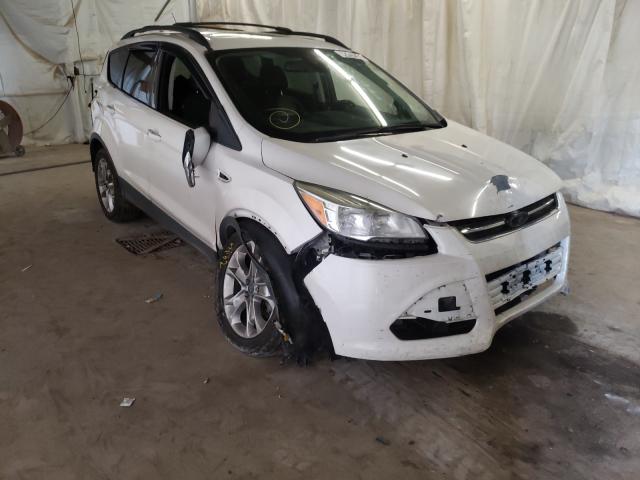 Ford Escape sel (2013)