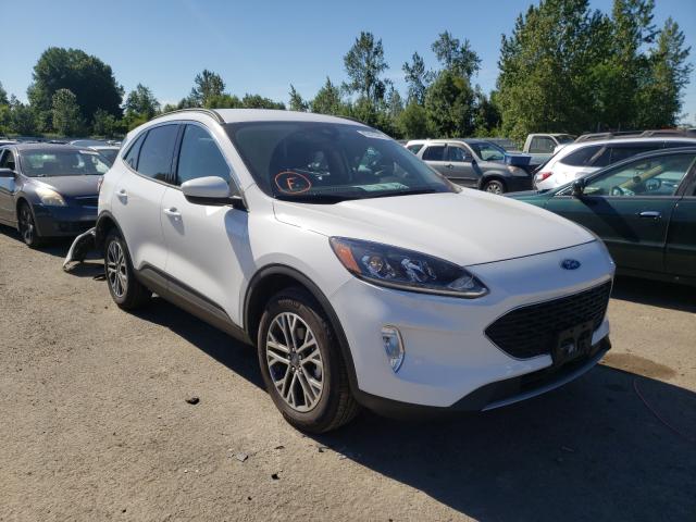 Ford Escape sel (2020)
