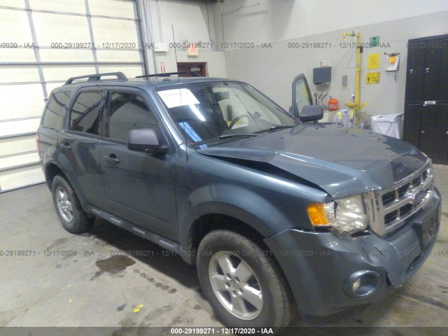 Ford Escape (2010)