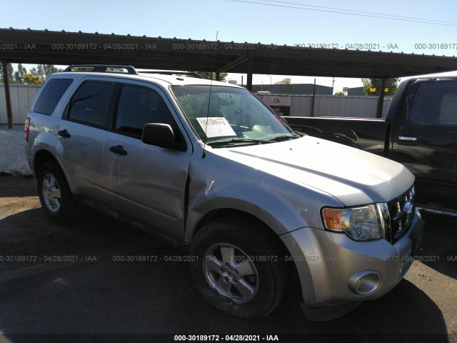 Ford Escape (2011)
