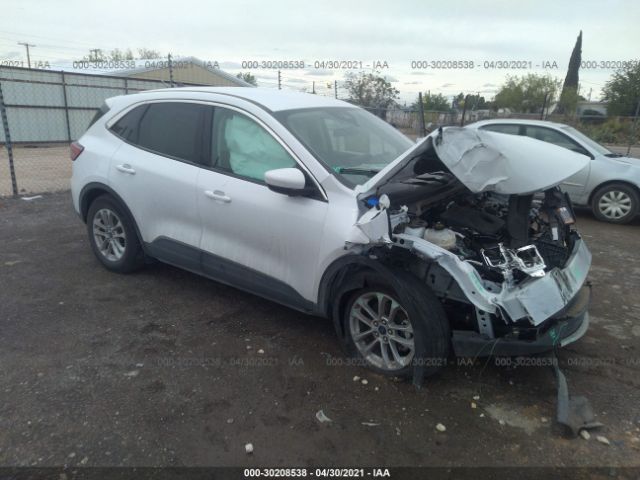 Ford Escape (2020)