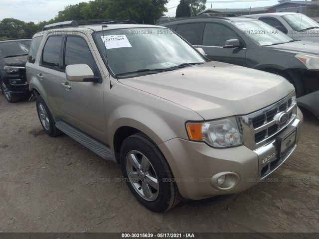 Ford Escape (2010)