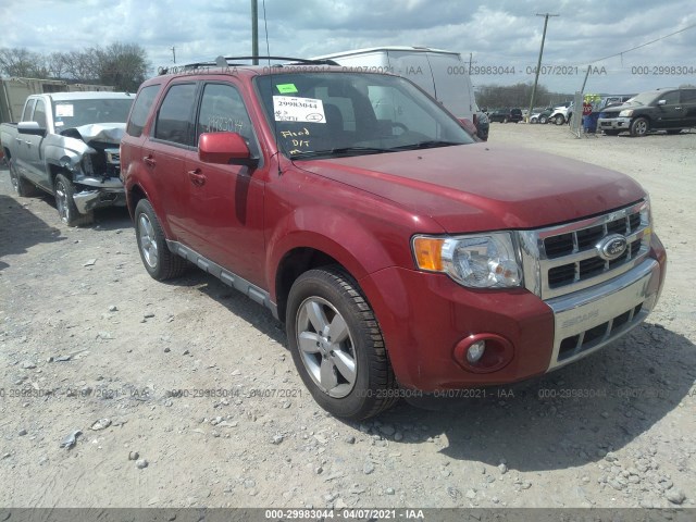 Ford Escape (2010)