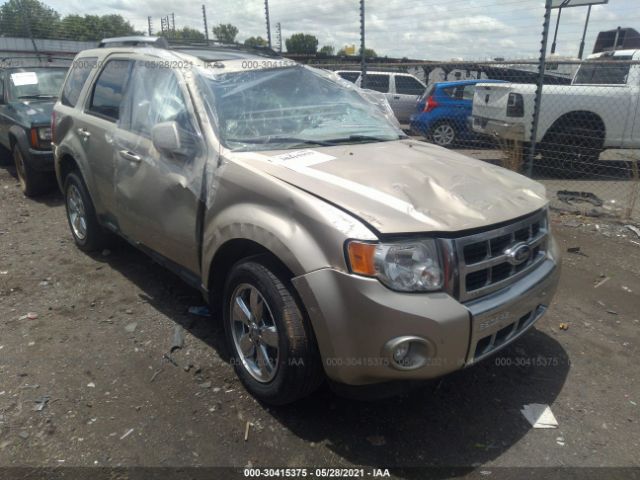 Ford Escape (2012)