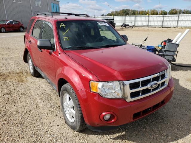 Ford Escape xlt (2010)