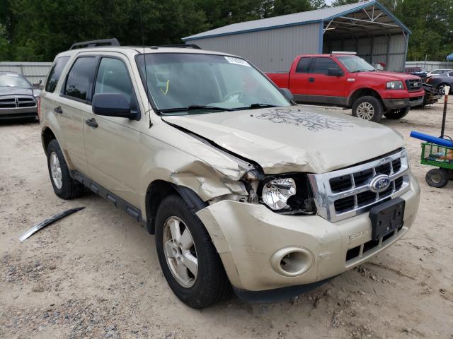 Ford Escape xlt (2010)
