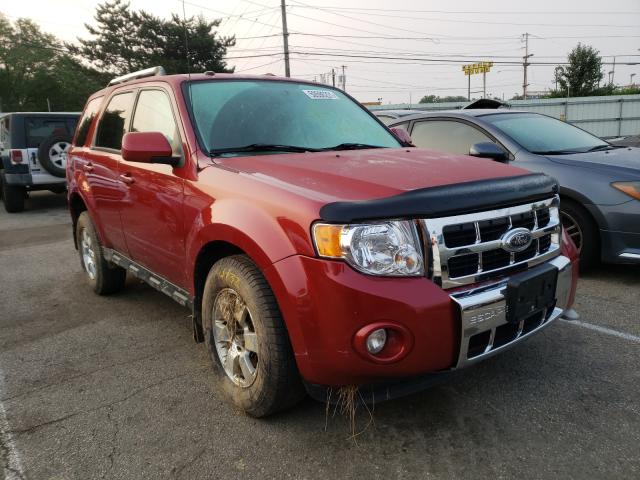 Ford Escape (2010)