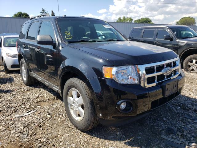 Ford Escape xlt (2010)