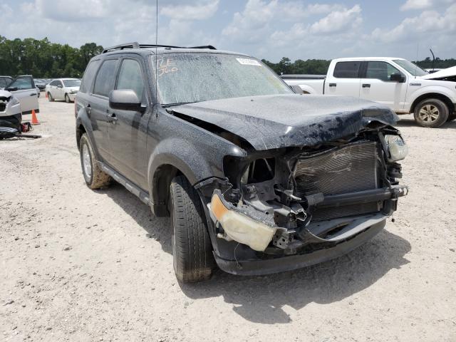 Ford Escape xlt (2010)