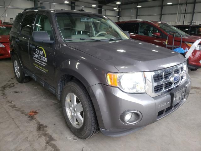 Ford Escape xlt (2010)