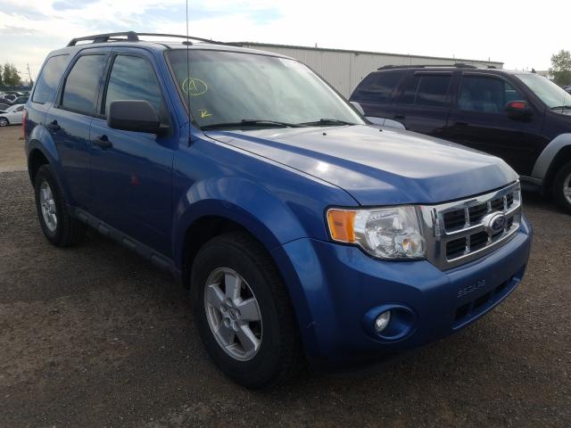 Ford Escape xlt (2010)