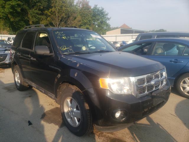 Ford Escape xlt (2010)