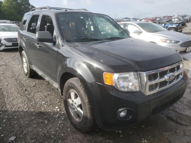 Ford Escape xlt (2011)