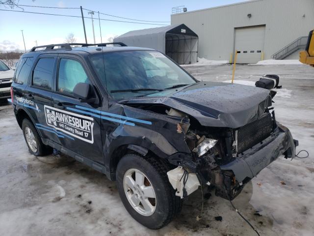 Ford Escape xlt (2011)