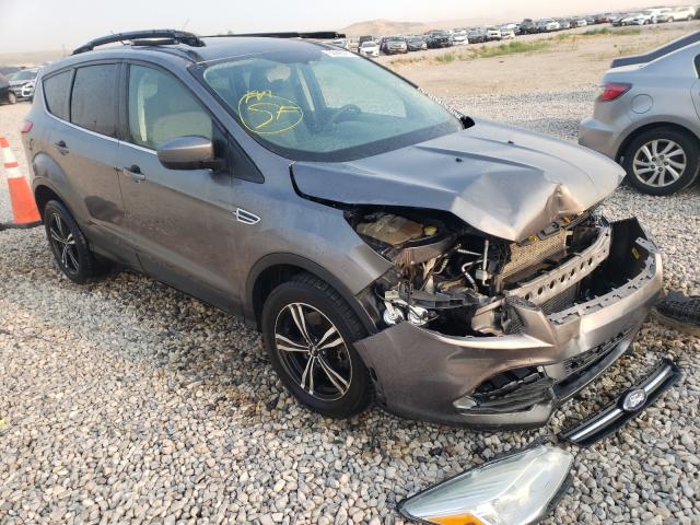 Ford Escape se (2013)