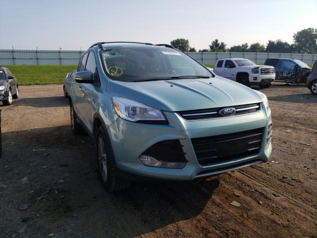 Ford Escape sel (2013)