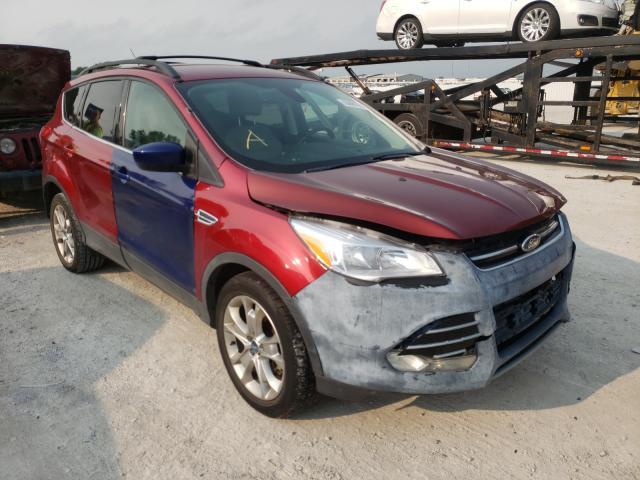 Ford Escape sel (2013)