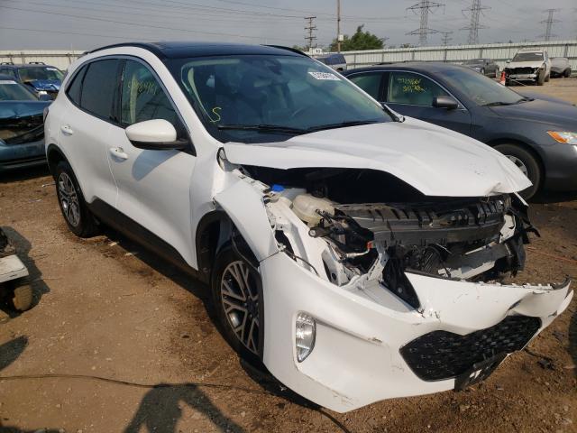 Ford Escape sel (2020)