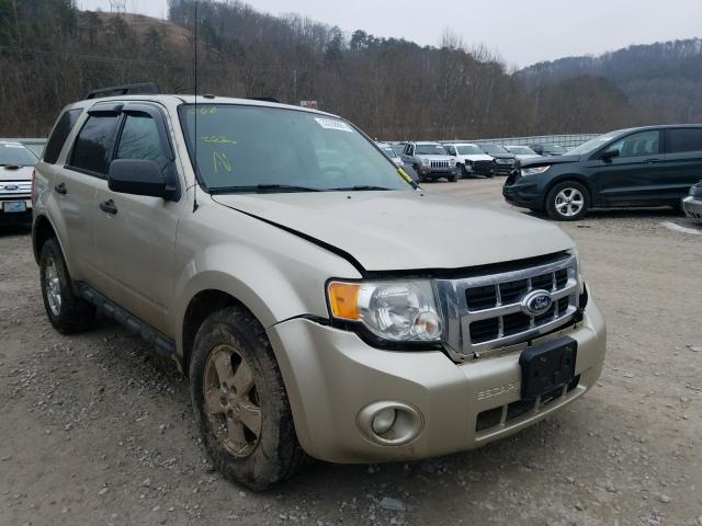 Ford Escape xlt (2010)