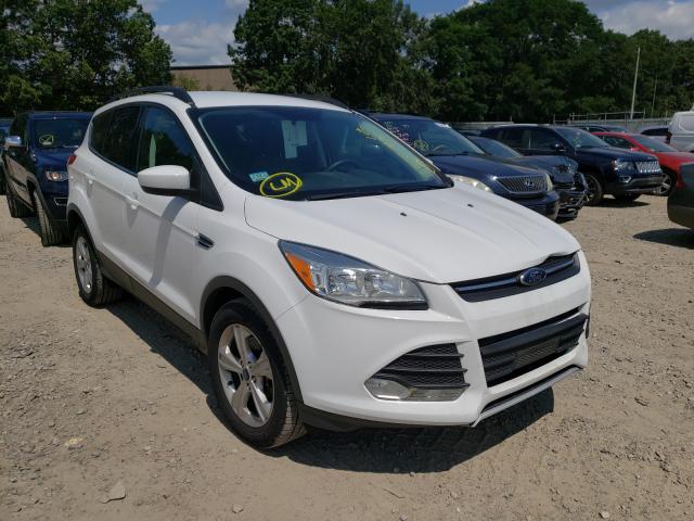 Ford Escape se (2014)