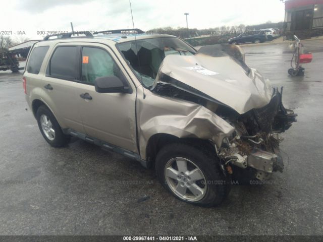 Ford Escape (2010)