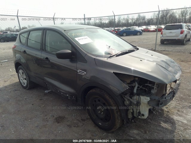 Ford Escape (2015)