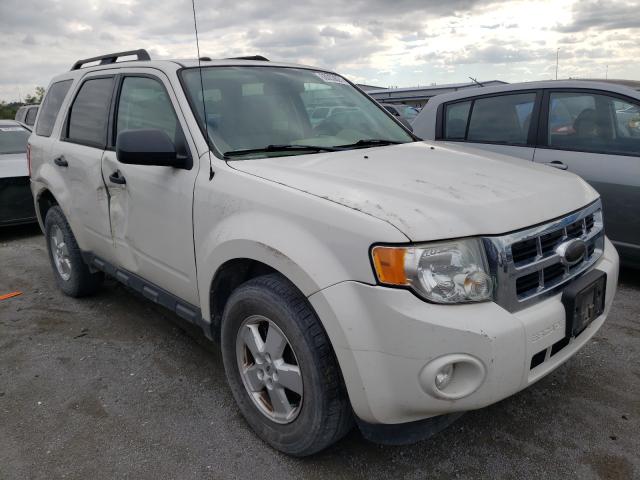 Ford Escape xlt (2010)
