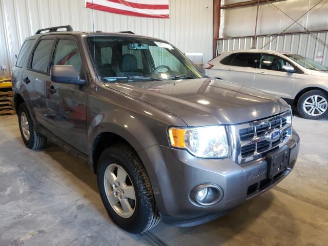 Ford Escape xlt (2010)