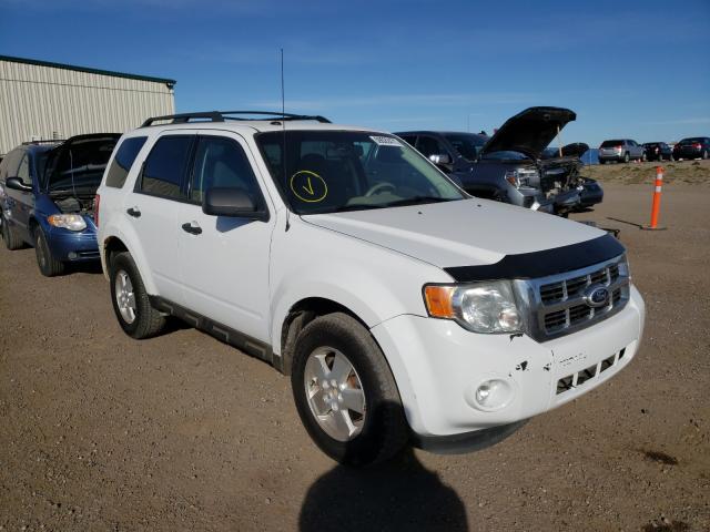 Ford Escape xlt (2010)