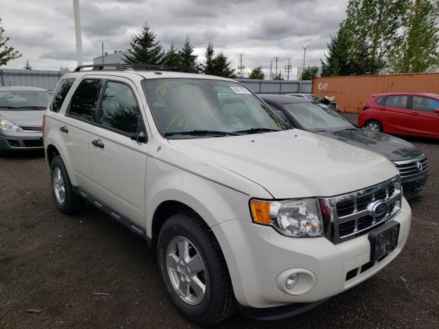 Ford Escape xlt (2011)