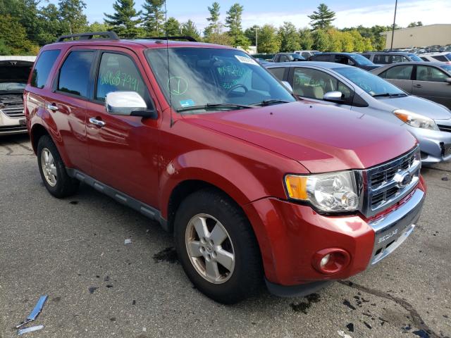 Ford Escape xlt (2011)
