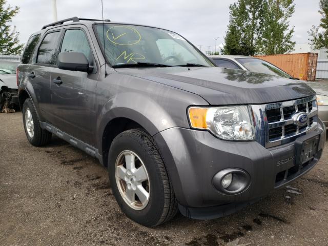 Ford Escape xlt (2011)